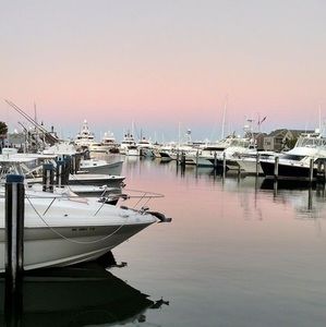 Meet your Posher, Suzanne